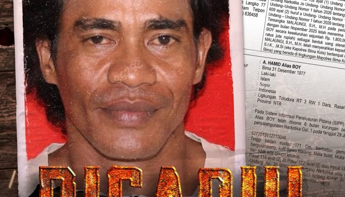 DPO Narkoba Terungkap, Aliran Dana Rp1,8 Miliar Diduga Mengalir ke Oknum Pejabat di Bima