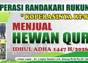Satu-Satunya di Cilegon, Koperasi RT-RW Randakari Siap Suplai Hewan Qurban untuk Perusahaan