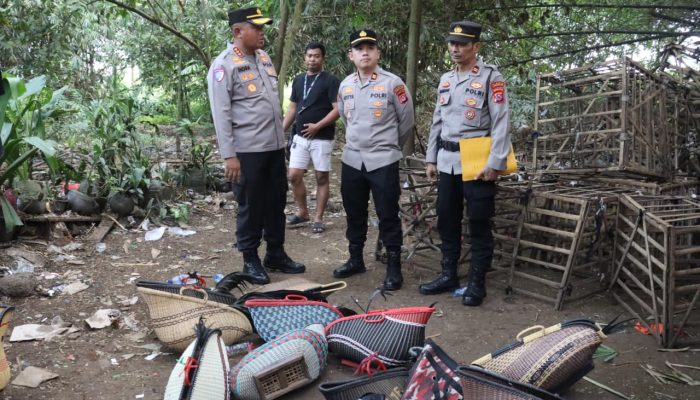 Polresta Tangerang Ringkus Dua Pelaku Sabung Ayam
