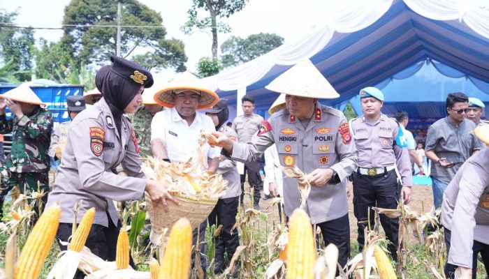 Dukung Ketahanan Pangan, Polda Banten Panen 29,5 Ton Jagung