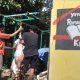 Yayasan Rumah Pintar Kreasi Gelar Kurban, Apresiasi PT KBS dan PT KAL
