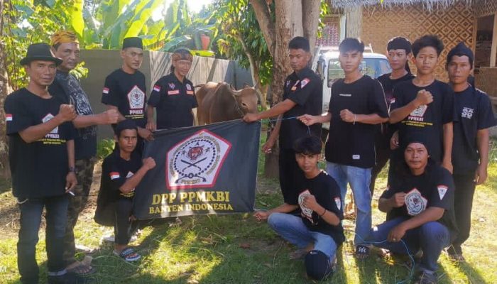 DPP Padepokan Macan Kulon Gelar Kurban Idul Adha 1447 H, 490 Kg Daging Dibagikan