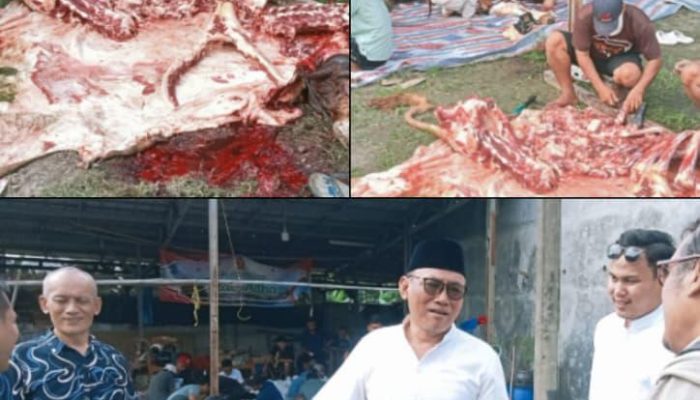 Gerindra Cilegon Sebar Daging Kurban, Helldy Agustian: Hampir Semua Kecamatan Kebagian