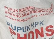 Pupuk Subsidi Diduga Bocor: Dari Kios Resmi ke Warung, Petani Terpaksa Beli Mahal