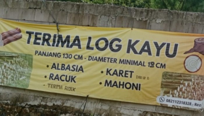 DLH Siap Turun Tangan, Sawah Warga Rusak Diduga Dampak Aktivitas CV Sinarjaya Mulia Agung