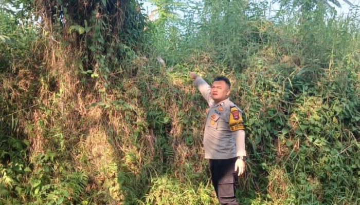 Bayi Perempuan Ditemukan di Samping Sungai Perum Metro Grand Cendana Cilegon, Polisi Lakukan Penanganan