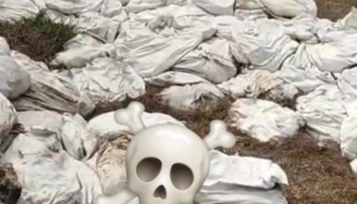 Bau Menyengat Kepung Kampung Malaka, Limbah Kotoran Ayam Diduga Dibuang Sembarangan — Warga Desak DLH dan Polisi Bertindak!